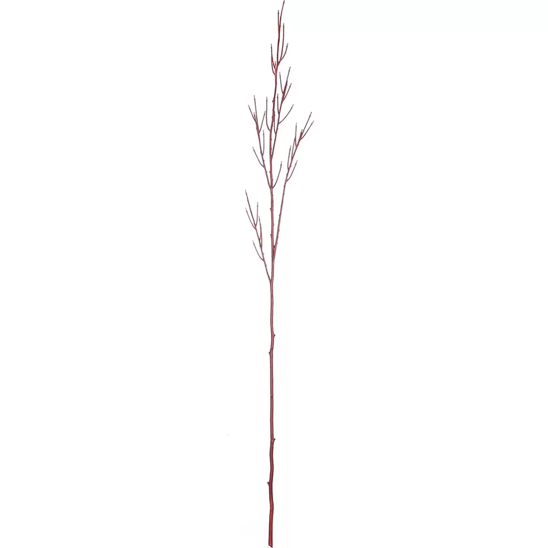 Ramas Y Ramitas>DecoWoerner Rama De Decoración Cornus 130 Cm rojo