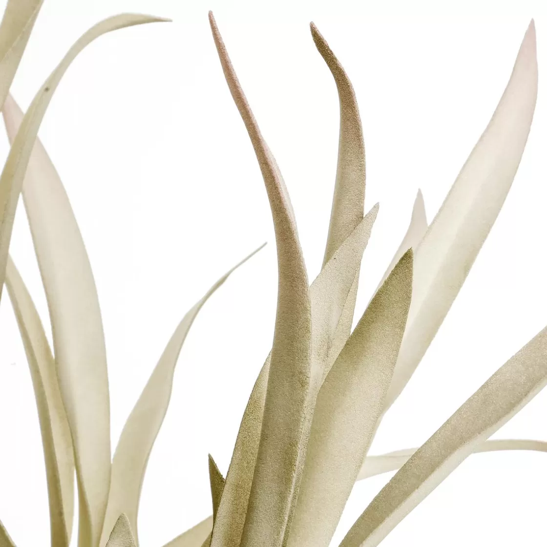Decoración De Otoño | Ramas Y Ramitas>DecoWoerner Rama De Sauce Artificial Con Hojas Largas 2 Piezas, 62 Cm Claro verde