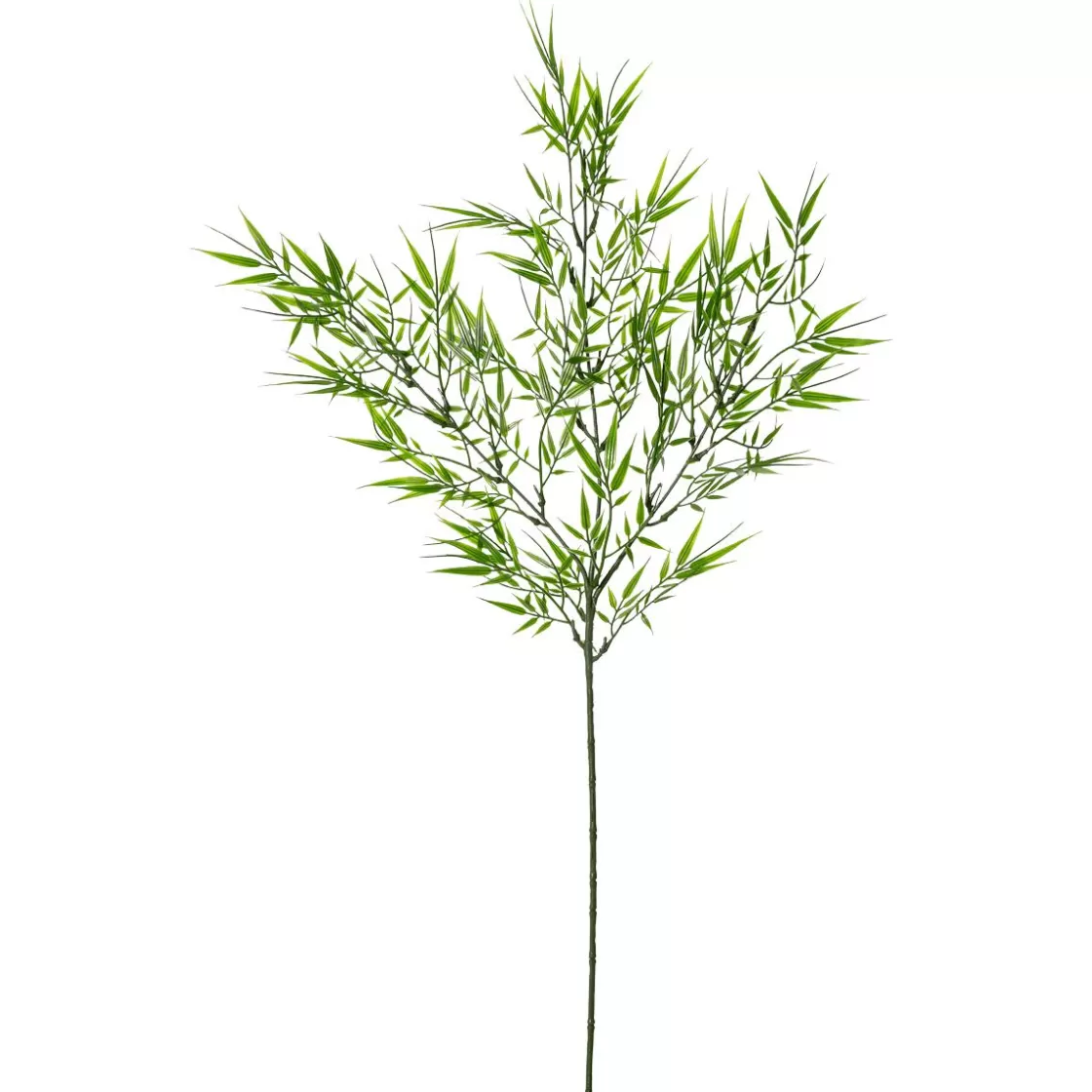 Ramas Y Ramitas>DecoWoerner Rama Decorativa De Bambú De 78 Cm De Longitud verde