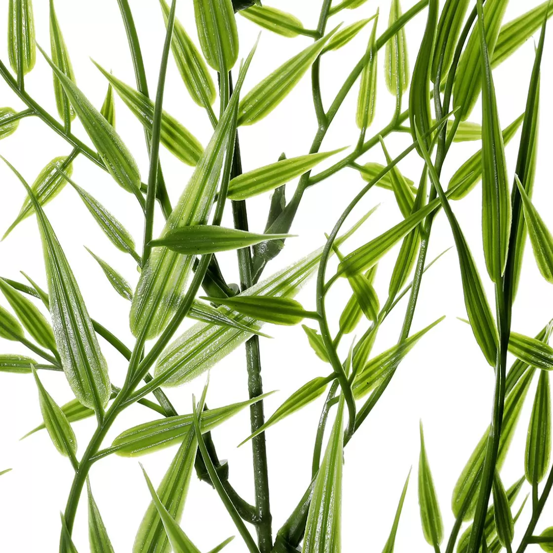 Ramas Y Ramitas>DecoWoerner Rama Decorativa De Bambú De 78 Cm De Longitud verde