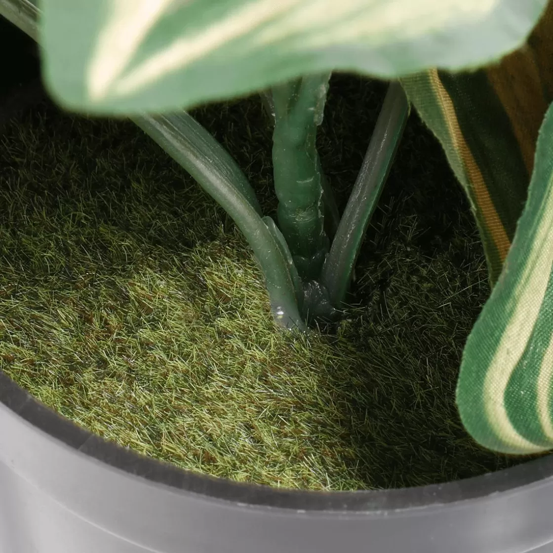 Decoración De Primavera | Plantas Verdes>DecoWoerner Tradecantia Colgante En Maceta De 30 Cm De Altura verde